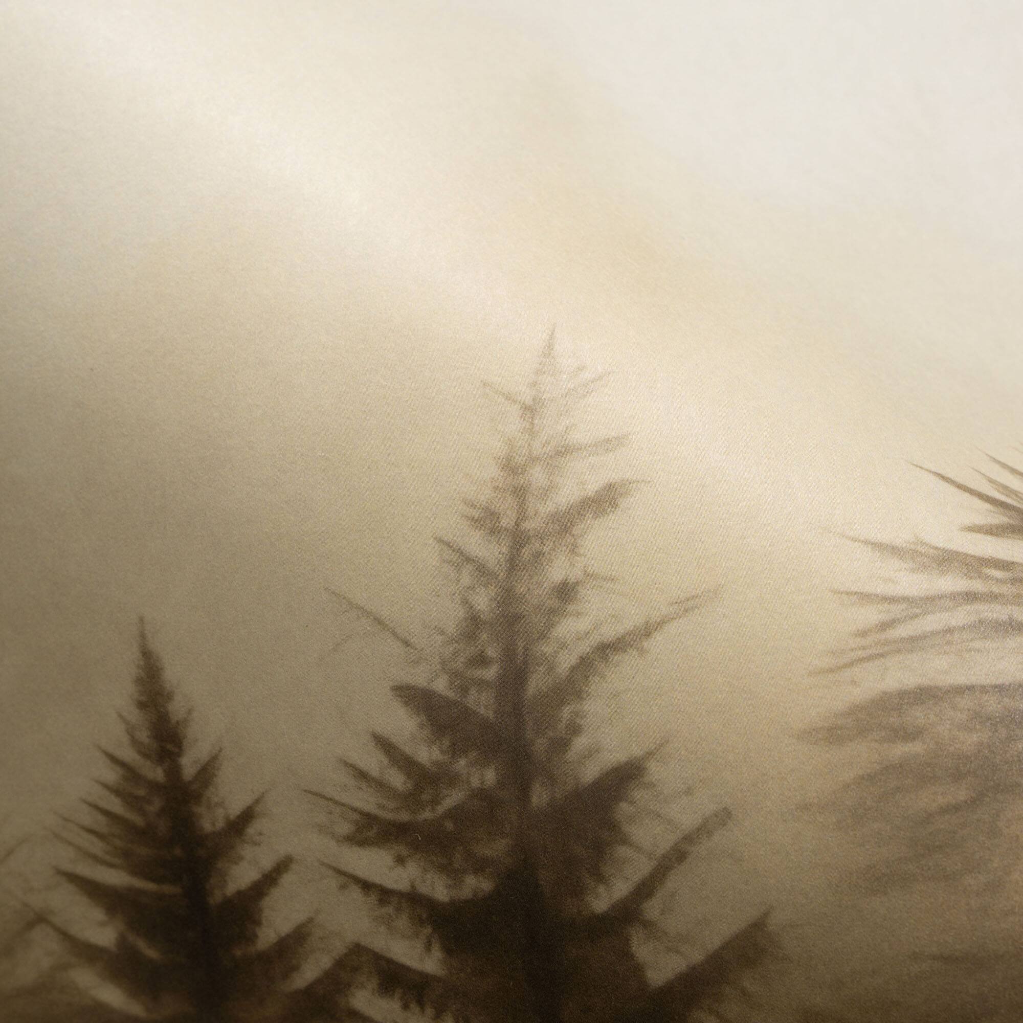 Designs Direct Silent Woods Wall Mural